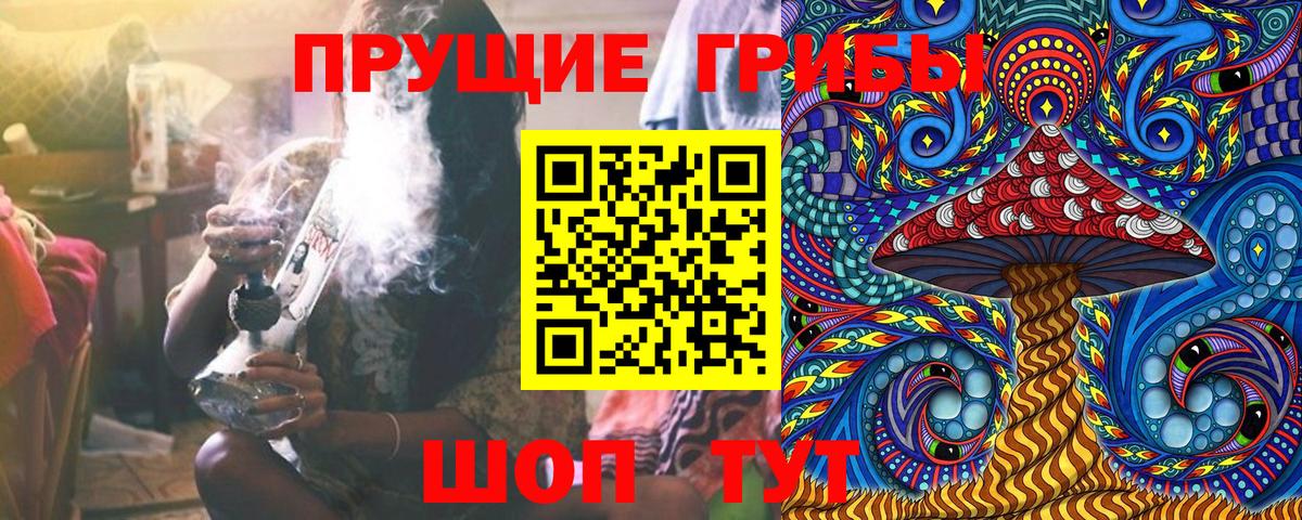Псилоцибиновые грибы MAGIC MUSHROOMS  Вход с VPN  Великий Устюг 