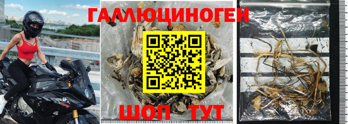 Псилоцибиновые грибы Magic Shrooms Великий Устюг