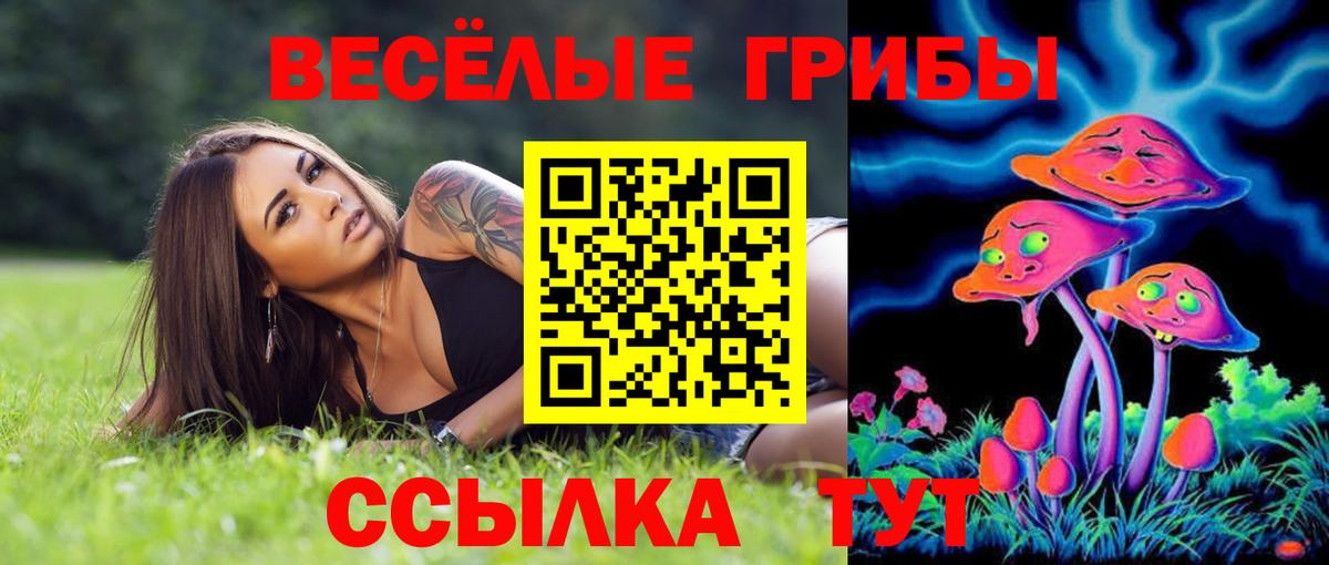 Галлюциногенные грибы MAGIC MUSHROOMS Великий Устюг